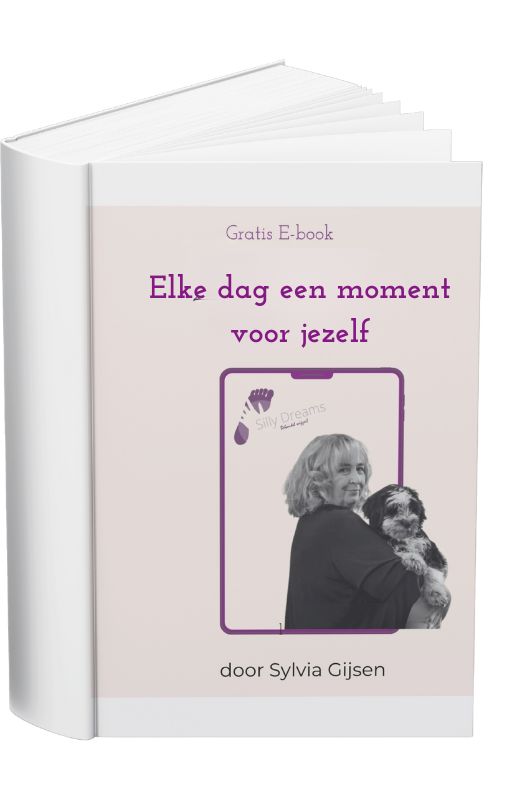 voorkant ebook